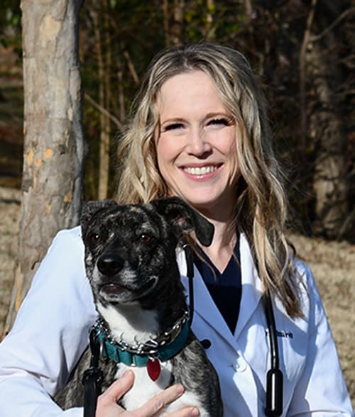 Dr. Melissa Irvin | LakeCross Veterinary Hospital | Vets in Huntersville