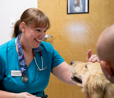 Surgery, Huntersville Vet